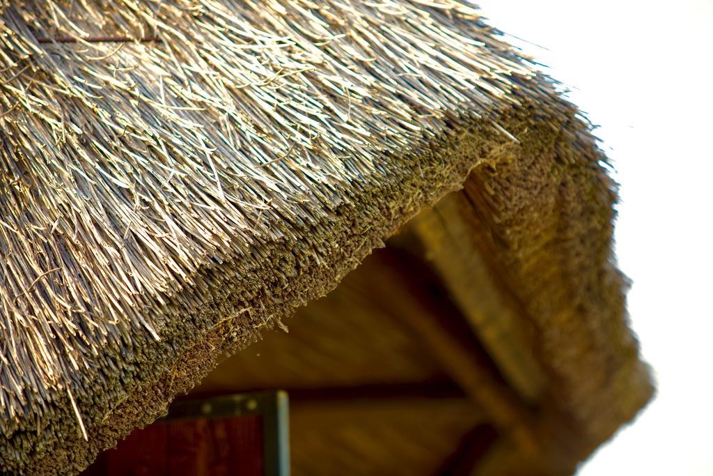 Agriturismo Bassara Le Capanne Argenta ภายนอก รูปภาพ